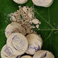 Rassoul Exfoliating Stone Whitening Body & Face Peeling Set (6 Pieces Iranian Hammam Stone)