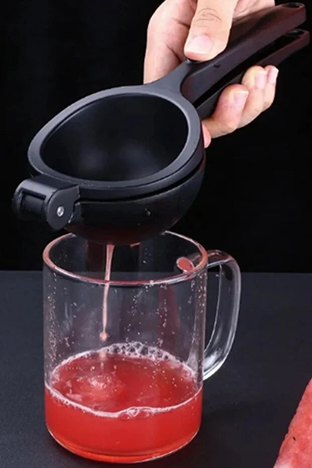 Cast Iron Citrus Juicer Orange Lemon Pomegranate Manual Press Juicer